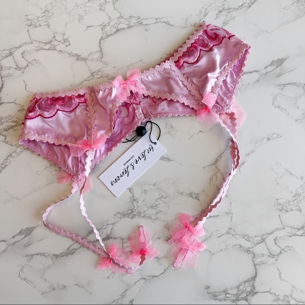NWT For Love and Lemons Retro Heart Garter Belt Lingerie Pink Womens Size Medium - Picture 5 of 6